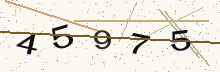 รูปรหัสตัวเลข